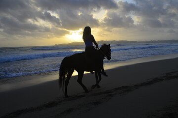 Horseback Riding tour at Sunrise on the Beach